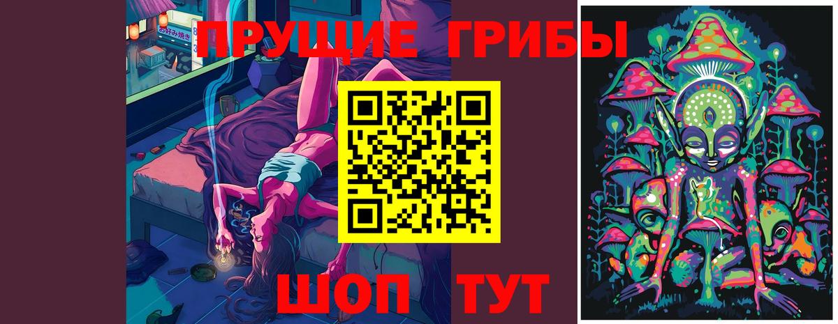 Галлюциногенные грибы мицелий  Галлюциногенные грибы Psilocybine cubensis  Солнечногорск  Вход с VPN 